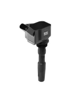 Tennspole 12V BERU BERU