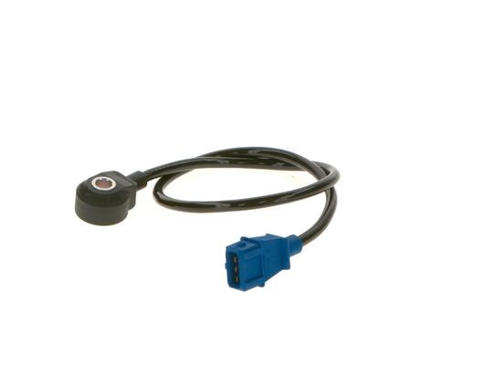 Bankesensor, Bak BOSCH BOSCH