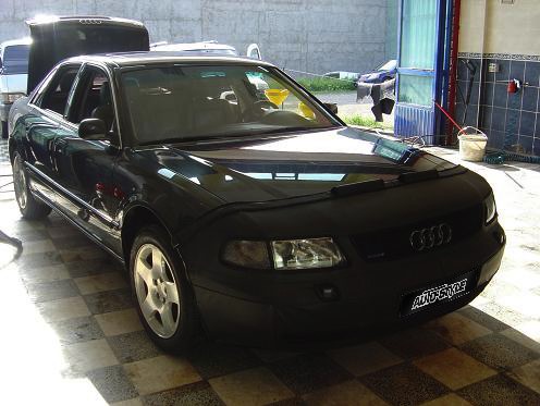 Panser BH PANTHERBRA Pantherbra