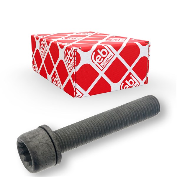 Skrue, bremseklave, Bakaksel FEBI BILSTEIN FEBI BILSTEIN