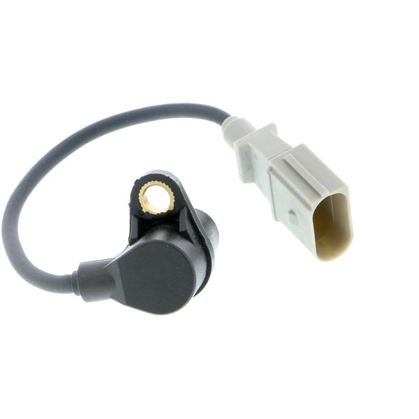 Sensor, turtall - P63445 - audi, seat, skoda, vw - OE 037906433C, 064 906 433 G, 06A 906 433 B