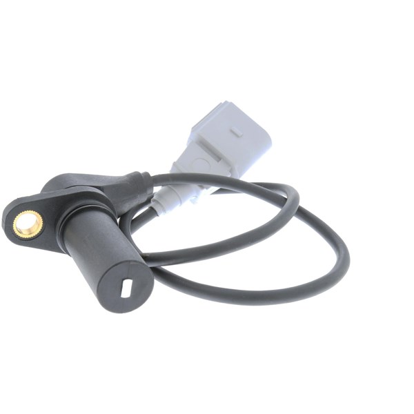 Sensor, turtall