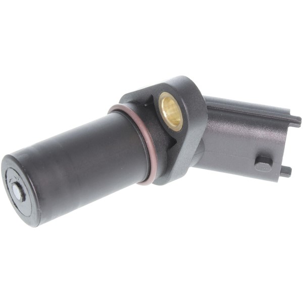 Sensor, turtall