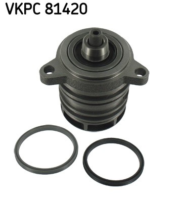 Vannpumpe SKF SKF Aquamax SKF