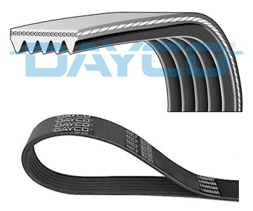 Kilerem Dayco 5PK935 DAYCO