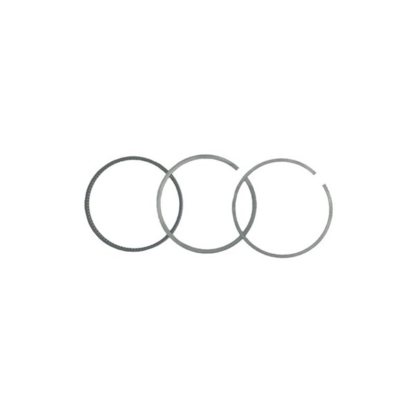 Stempelringsett BORSEHUNG Borsehung