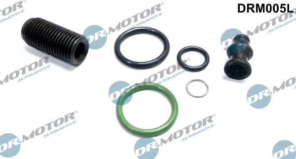 Reparasjonssett, pumpe-dyse-enhet DR.MOTOR AUTOMOTIVE Dr.Motor Automotive