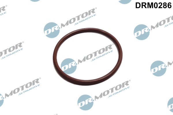 Tetning, brennstoffpumpe DR.MOTOR AUTOMOTIVE Dr.Motor Automotive