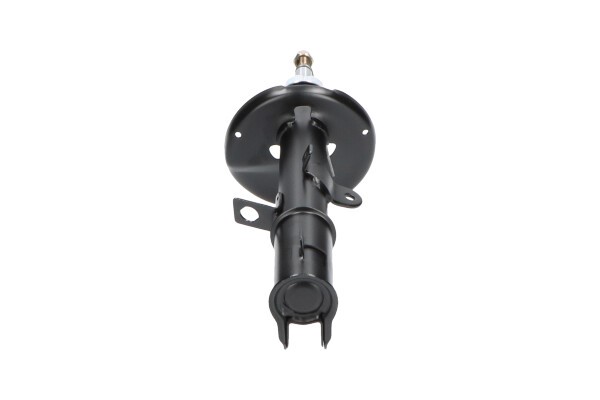 Støtdemper Gasstrykk, Høyre bakaksel KAVO PARTS KAVO PARTS