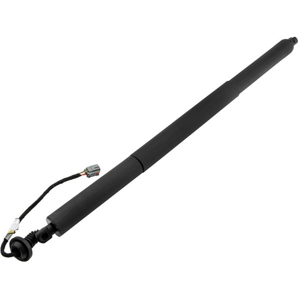 Elektrisk bakluke, Bakre venstre NTY NTY