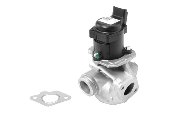 Egr-ventil BORGWARNER (WAHLER) BorgWarner (Wahler)