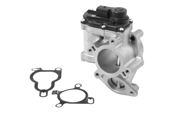 Egr-ventil BORGWARNER (WAHLER) BorgWarner (Wahler)
