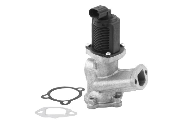 Egr-ventil BORGWARNER (WAHLER) BorgWarner (Wahler)