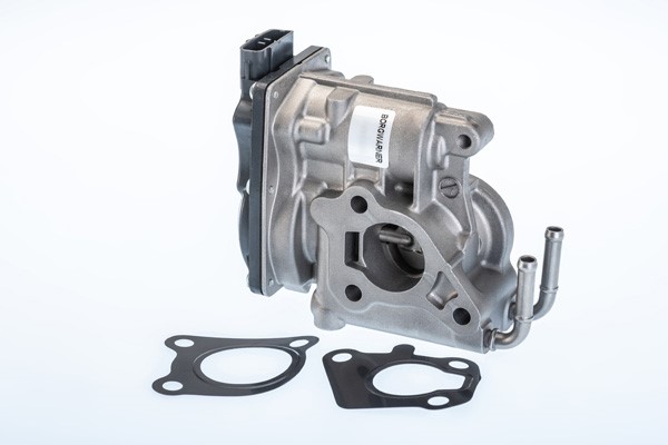 Egr-ventil, Foran BORGWARNER (WAHLER) BorgWarner (Wahler)
