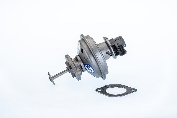 Egr-ventil BORGWARNER (WAHLER) BorgWarner (Wahler)