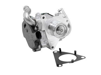 Egr-ventil BORGWARNER (WAHLER) BorgWarner (Wahler)