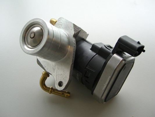 Egr-ventil BORGWARNER (WAHLER) BorgWarner (Wahler)