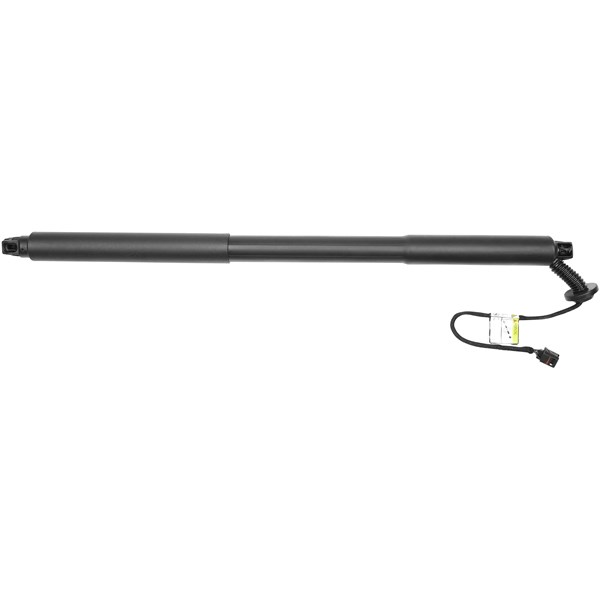 Pneumatisk fjær, koffer- / lasterom, Bak, Venstre