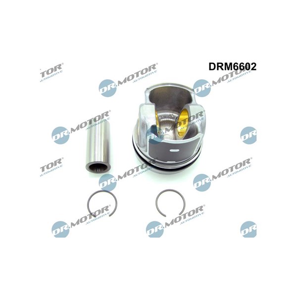 Delmotor DR.MOTOR AUTOMOTIVE Dr.Motor Automotive