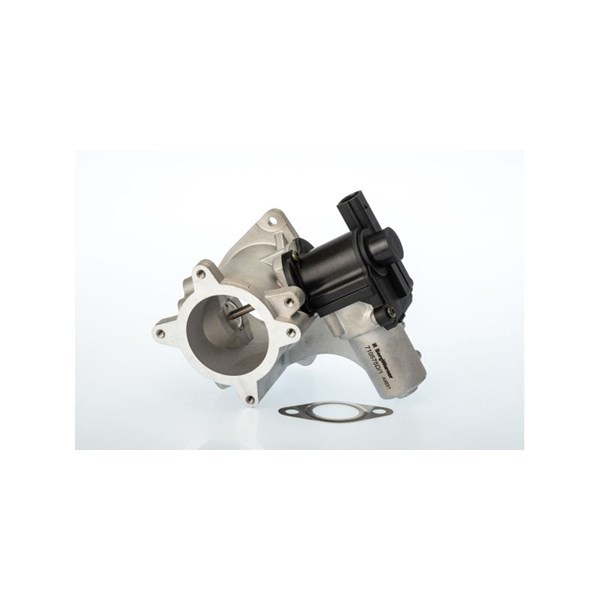 Egr-ventil BORGWARNER (WAHLER) BorgWarner (Wahler)