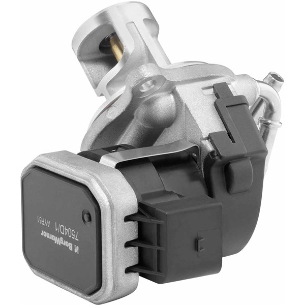 Egr-ventil BORGWARNER (WAHLER) BorgWarner (Wahler)