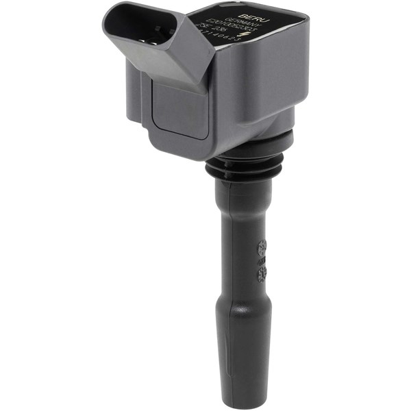 Tennspole 12V BERU BERU