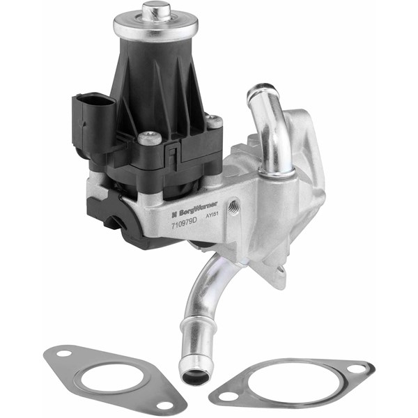 Egr-ventil BORGWARNER (WAHLER) BorgWarner (Wahler)