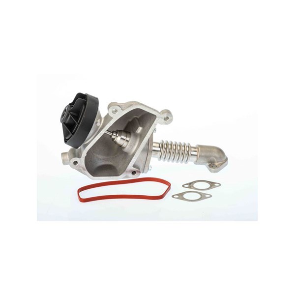 Egr-ventil BORGWARNER (WAHLER) BorgWarner (Wahler)