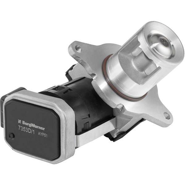 Egr-ventil BORGWARNER (WAHLER) BorgWarner (Wahler)