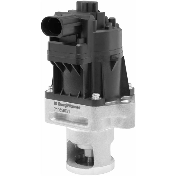 Egr-ventil BORGWARNER (WAHLER) BorgWarner (Wahler)