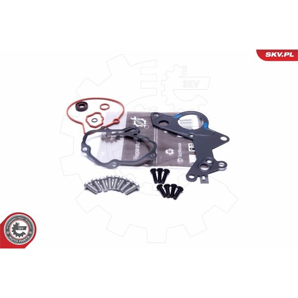 Reparatorsett, undertrykkspumpe (bremsesystem) ESEN SKV ESEN SKV