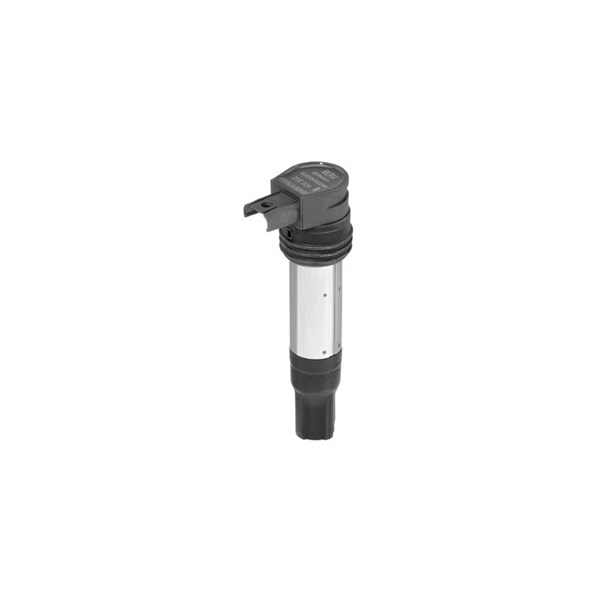 Tennspole 12V BERU BERU