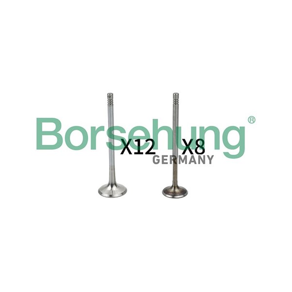 Ventilsett, innsugs-/utløpsventil BORSEHUNG Borsehung