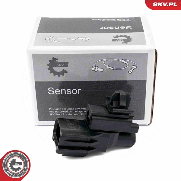 Sensor, utetemperatur ESEN SKV ESEN SKV