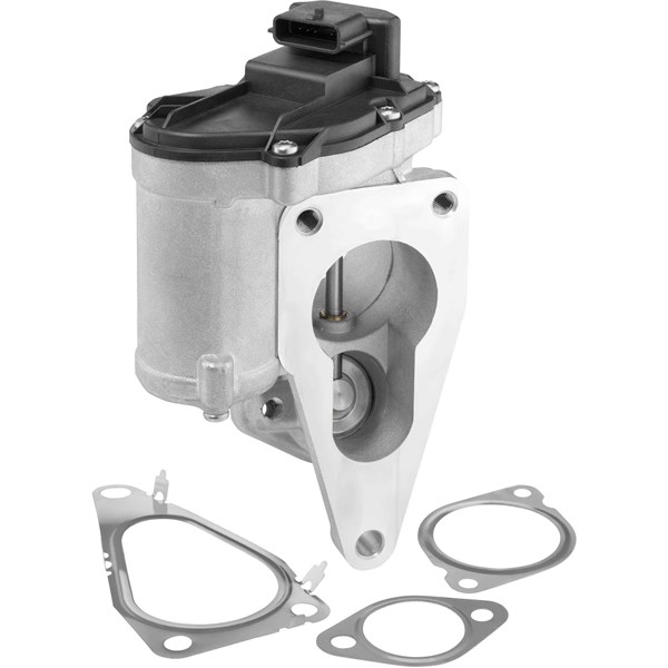 Egr-ventil BORGWARNER (WAHLER) BorgWarner (Wahler)