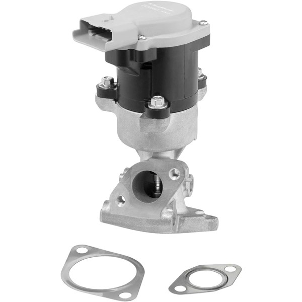 Egr-ventil, Foran, Bak, Høyre BORGWARNER (WAHLER) BorgWarner (Wahler)