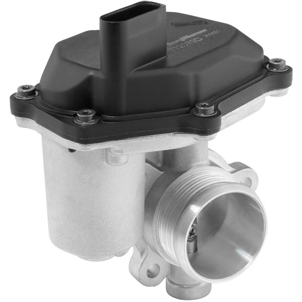 Egr-ventil BORGWARNER (WAHLER) BorgWarner (Wahler)