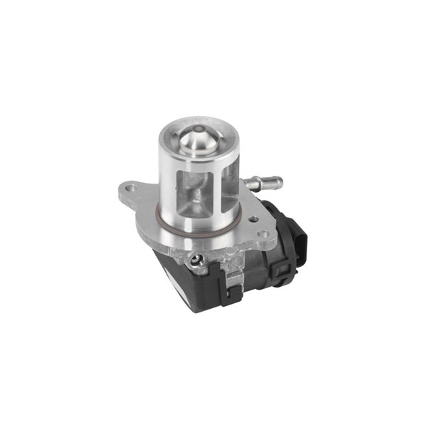 Egr-ventil BORGWARNER (WAHLER) BorgWarner (Wahler)