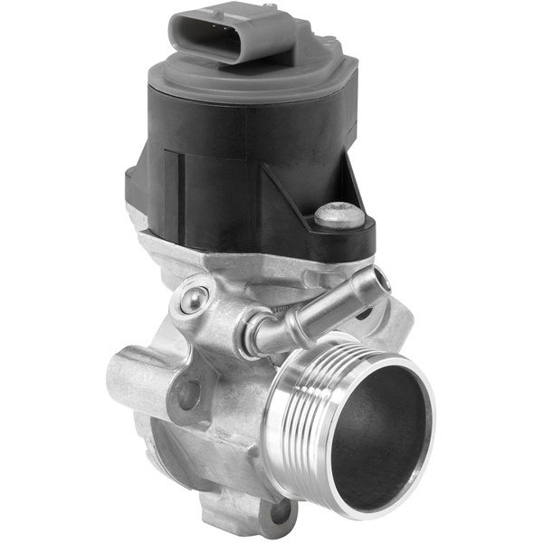 Egr-ventil BORGWARNER (WAHLER) BorgWarner (Wahler)