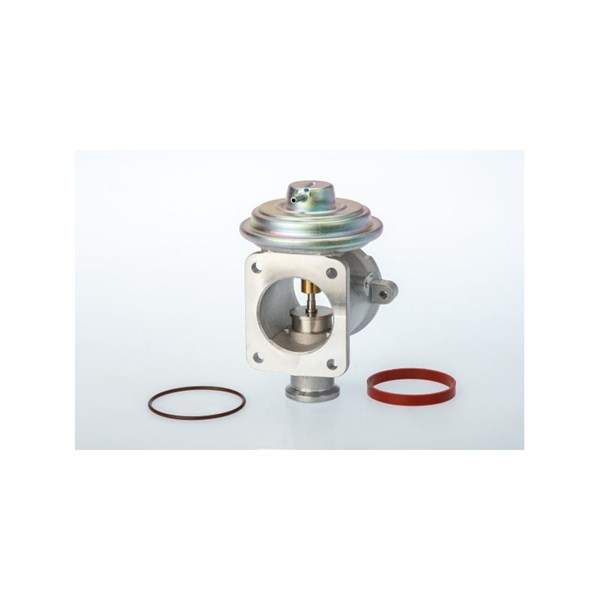 Egr-ventil BORGWARNER (WAHLER) BorgWarner (Wahler)
