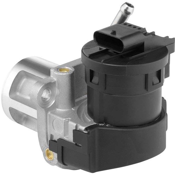 Egr-ventil BORGWARNER (WAHLER) BorgWarner (Wahler)