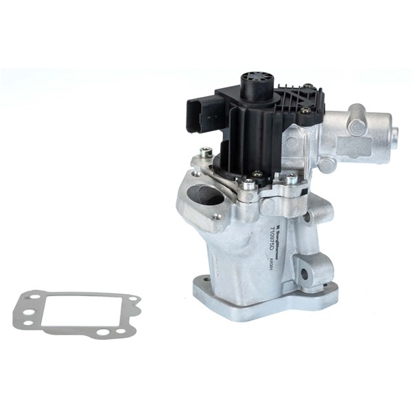 Egr-ventil BORGWARNER (WAHLER) BorgWarner (Wahler)