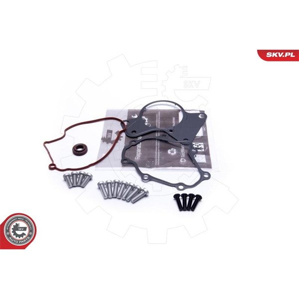 Reparatorsett, undertrykkspumpe (bremsesystem) ESEN SKV ESEN SKV
