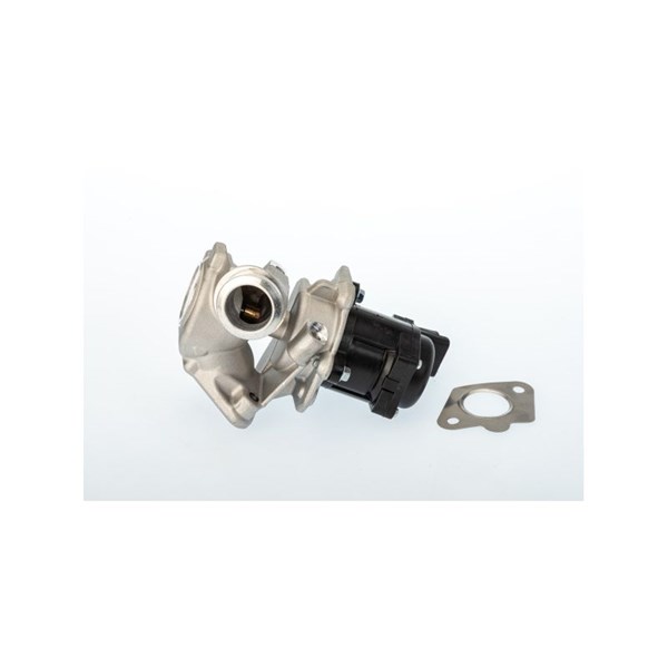 Egr-ventil BORGWARNER (WAHLER) BorgWarner (Wahler)