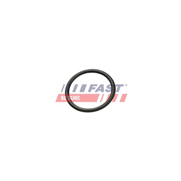 FAST Tetning, rørledning kjølevæske - P2013217 - citroën, fiat, ford, land rover, ldv, peugeot - OE 032 121 666, 1098190, 1340.91