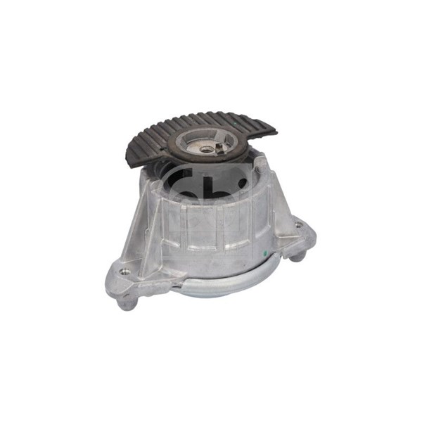 Lagring, motor, på begge sider FEBI BILSTEIN FEBI BILSTEIN