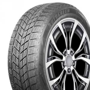 Autogreen Snow Ranger AW09 Autogreen dekk