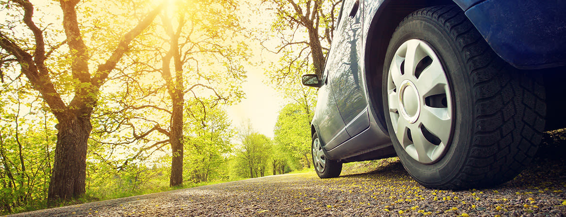 Bildekk på solfylt landevei omgitt av grønne trær.